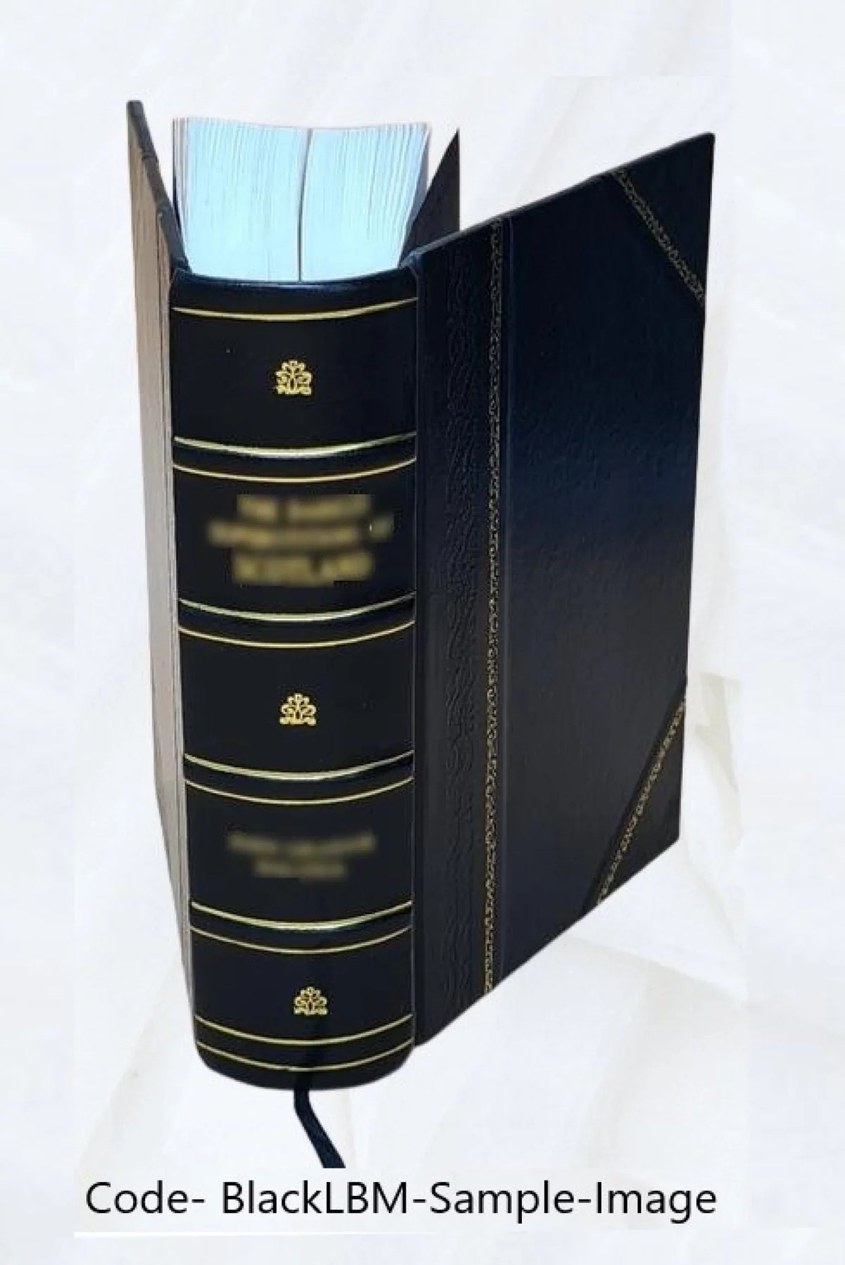 De elocutione oratoria libri 4. In quibus omnia, quae ad ornate, concinne, apte, copioseque Final Point sunt cognitu necessaria ex optimis quibusque, tum veteribus, tum nouis Termination