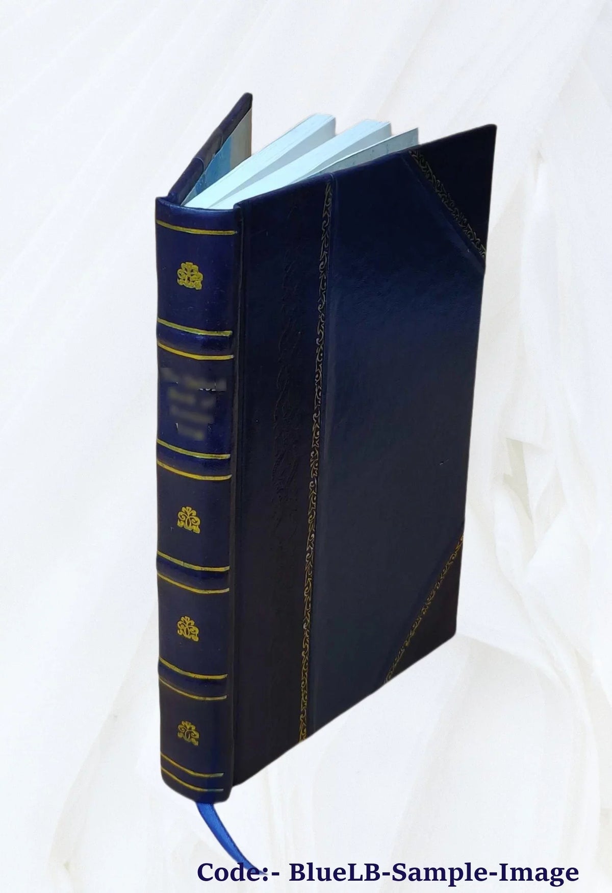 San Lorenzo River watershed water quality investigation Volume no.143-1 1966 [Leather Bound]