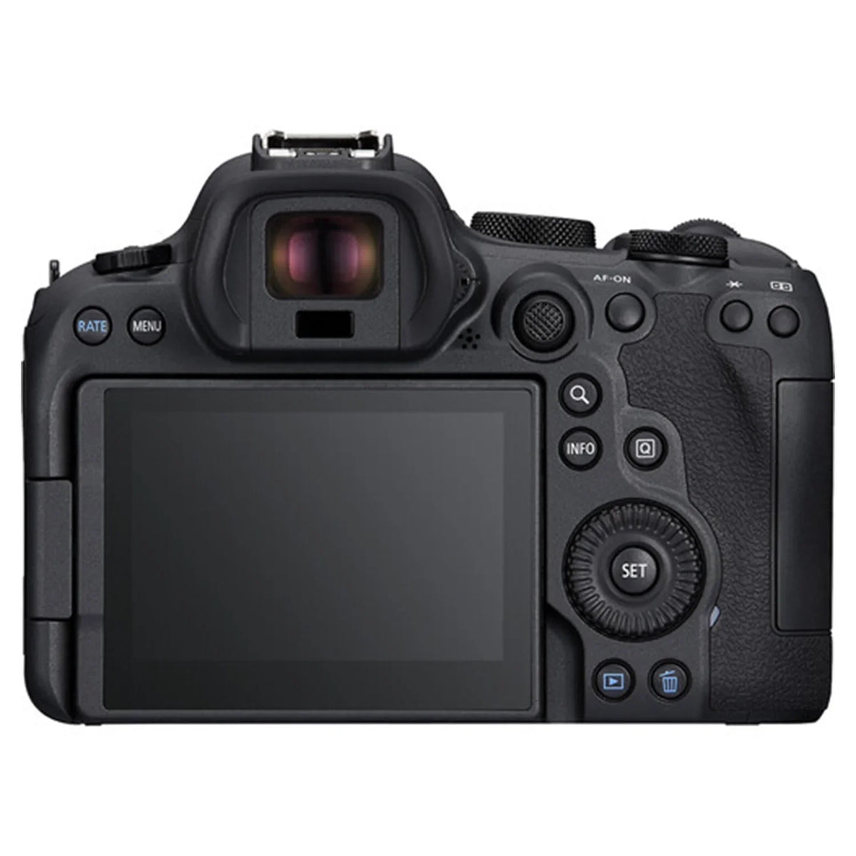 Canon EOS R6 Mark II Mirrorless Camera with RF 24-105mm Lens + EF 75-300mm + Mount Adapter + SanDisk 32GB Memory Card + Case + LED Flash + ZeeTech Accessory Bundle