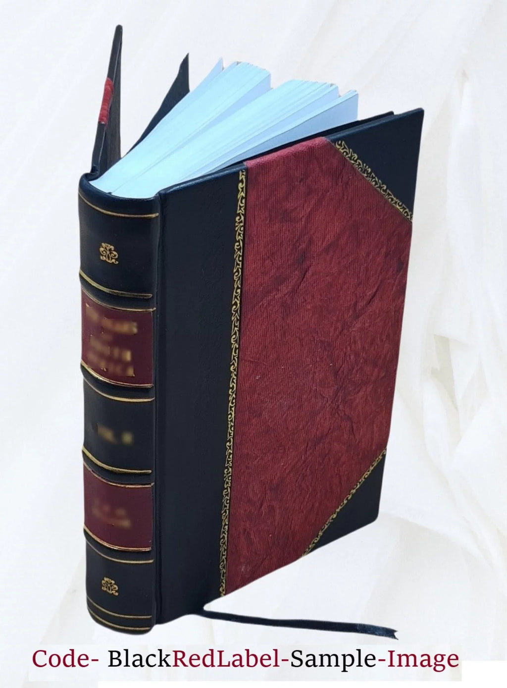 Nicolai Comneni Papadopoli Historia Gymnasii Patavini post ea, quæ hactenus de illo scripta sunt, ad hæc nostra tempora pleniùs, & Edge deducta. Cum auctario de claris profes