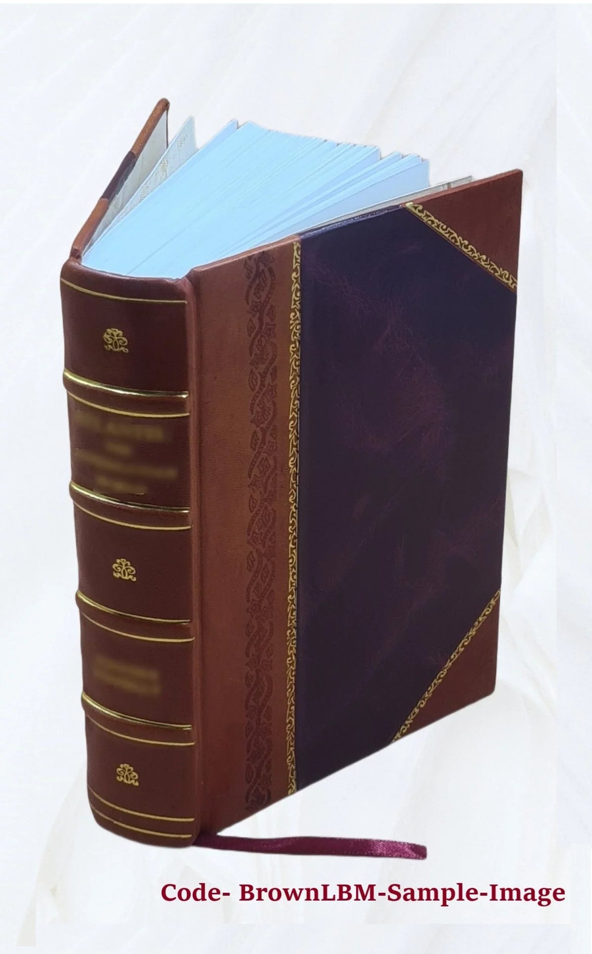 The Poetical Works Of Elizabeth Barrett Browning 1920 [Leather Bound]