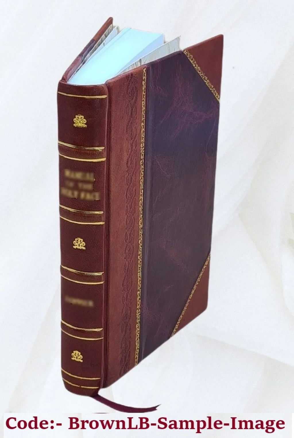 Catalogo della R. Pinacoteca di Brera, di Francesco Malaguzzi Valeri, con cenno storico di Corrado Ricci. 1908 [Leather Bound]